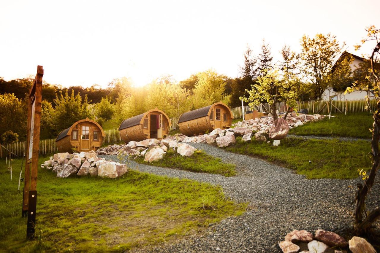 Complex Butoaiele Transilvaniei - Cazare & Spa - Natura - Relaxare Mediaş Exteriör bild