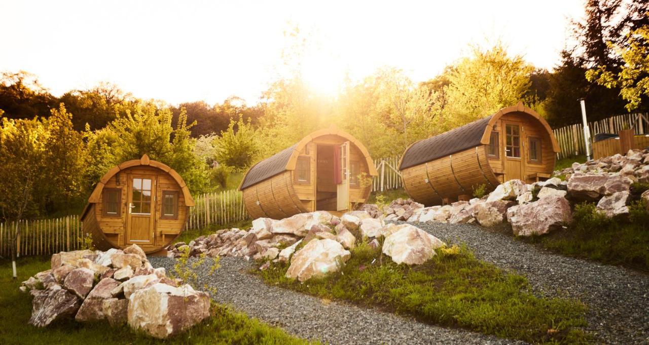 Complex Butoaiele Transilvaniei - Cazare & Spa - Natura - Relaxare Mediaş Exteriör bild