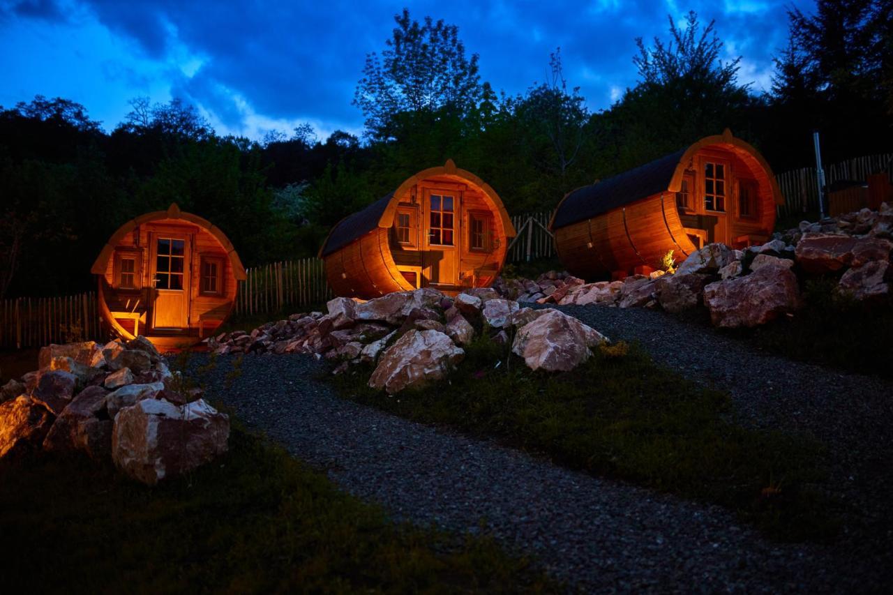 Complex Butoaiele Transilvaniei - Cazare & Spa - Natura - Relaxare Mediaş Exteriör bild