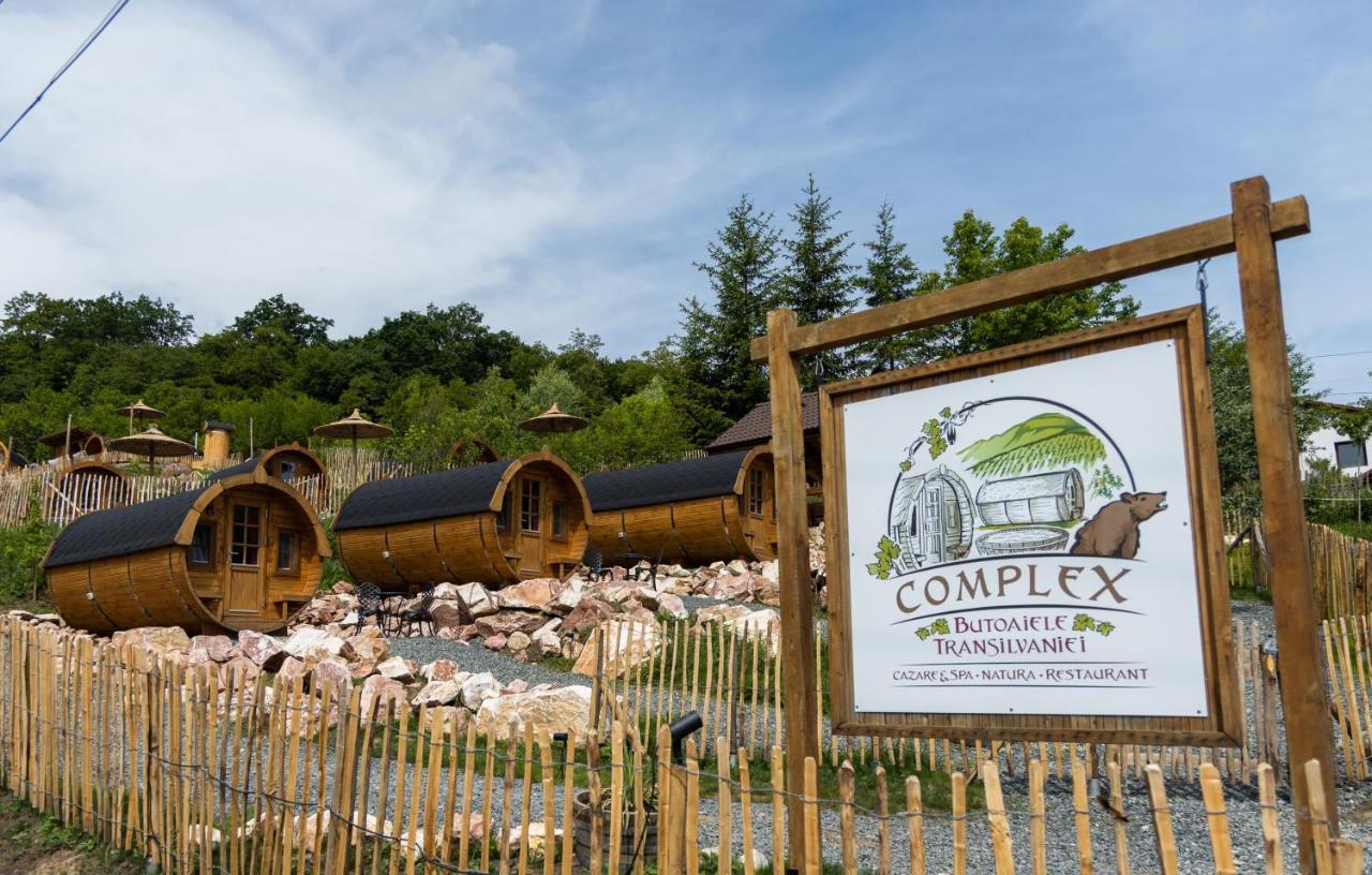 Complex Butoaiele Transilvaniei - Cazare & Spa - Natura - Relaxare Mediaş Exteriör bild