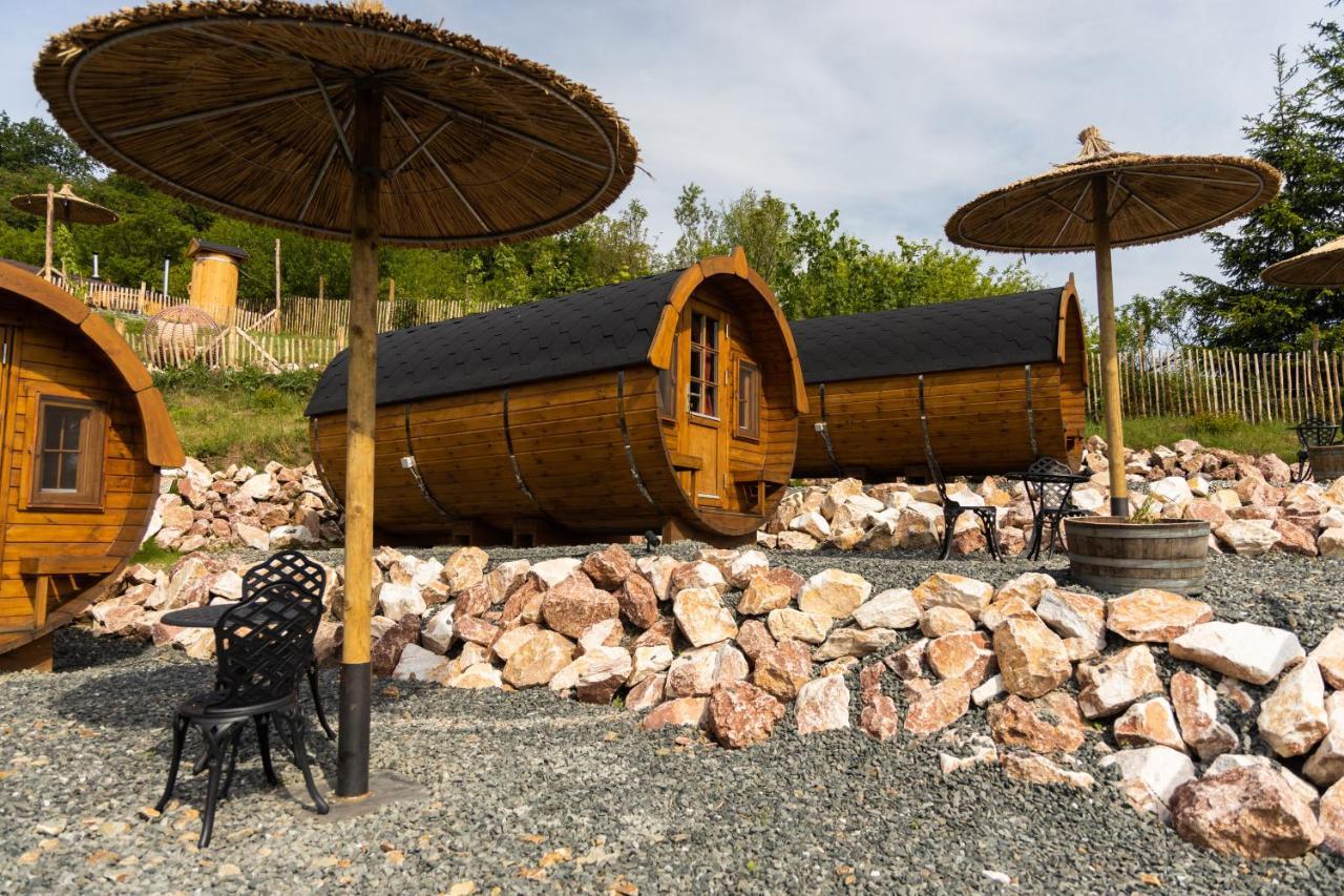 Complex Butoaiele Transilvaniei - Cazare & Spa - Natura - Relaxare Mediaş Exteriör bild