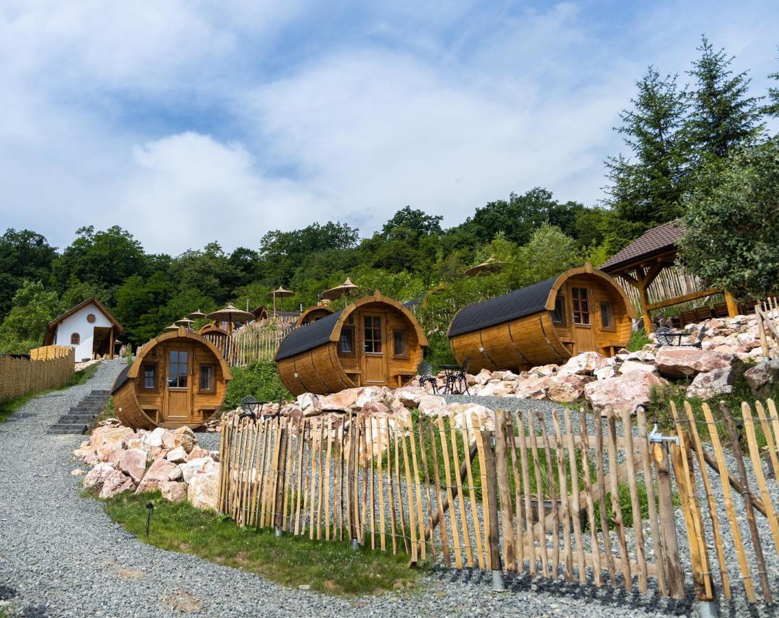Complex Butoaiele Transilvaniei - Cazare & Spa - Natura - Relaxare Mediaş Exteriör bild