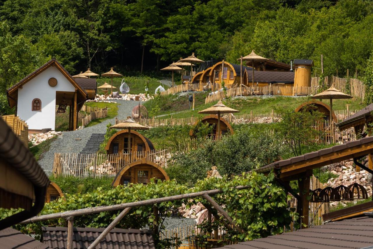 Complex Butoaiele Transilvaniei - Cazare & Spa - Natura - Relaxare Mediaş Exteriör bild