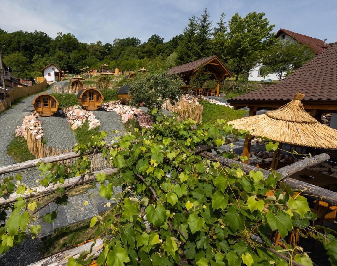 Complex Butoaiele Transilvaniei - Cazare & Spa - Natura - Relaxare Mediaş Exteriör bild